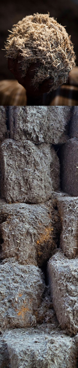 Products of Birla Sugar